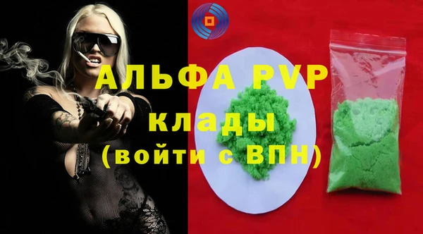 крисы Алзамай