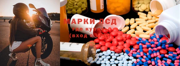 spice Алексеевка