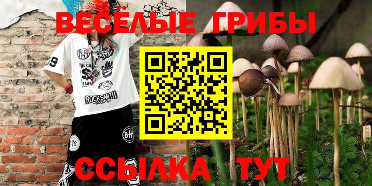 Галлюциногенные грибы мухоморы Салават