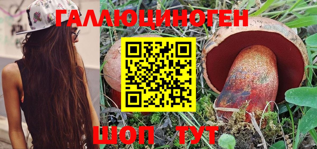 Салават  Псилоцибиновые грибы мицелий  Вход с VPN 